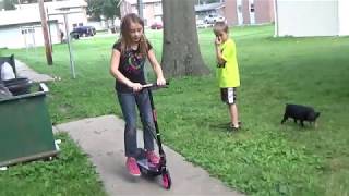 Power Core E90 - Razor Electric Scooter
