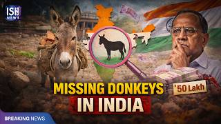 Become a Donkey Farmer: Get Rs. 50 Lakh Subsidy from Government