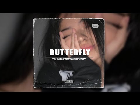 (FREE) Melodic Guitar Sample Pack 2023 "BUTTERFLY" - Dark Ambient Guitar loop kit