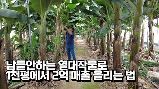 학원 운영하다 스트레스로 귀농한 사장님이 열대작물로 벌어들이는 수익은?