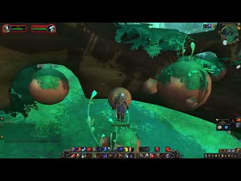 Geklautes Artefakt - Schatz WoW (Zereth Mortis)