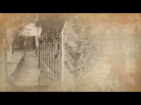 Aleksandar Trandafilović   Narodne pesme