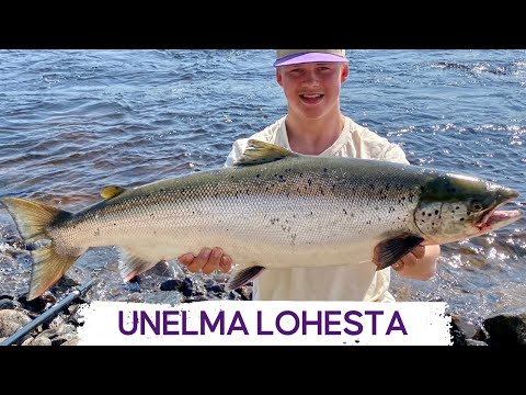 Unelma lohesta • Taitoa vai tuuria • Onko perhon värillä väliä • Ottisää • Vinkkejä aloittelevalle