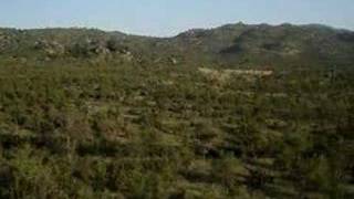 preview picture of video 'A beautiful view in Kruger Park South Africa'