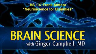 BS 197 (Encore) Neuroscience for Dummies with Frank Amthor