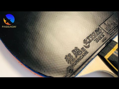 Why is DHS Hurricane 3 so popular in table tennis?