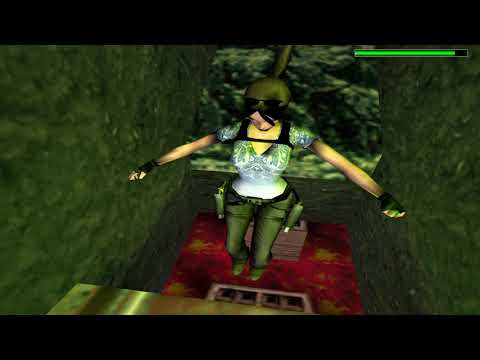 Tomb Raider: Escape from the Zoo (Niveles de autor)