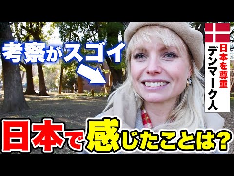 国際教養学科 【徹底解剖】「日本人の礼儀は別格すぎる！」外国人が語る日本人の「礼儀正しさ」とは？｜【外国人観光客にインタビュー】【海外の反応】｜リメイク版