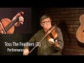 Toss the Feathers (D) - Trad Irish Fiddle Lesson by Kevin Burke