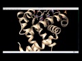 UCSF Chimera Basics