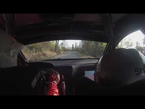 3° Rally del Piemonte 2017 Ferrando F.-Zambelli F. 208 R2B  Ps1 "Cigliè"