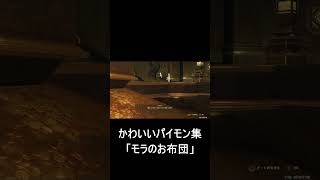 【原神】パイモンのかわいい集「モラのお布団」　#shorts