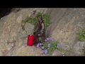 Cave Isolation Self Cultivation Shaolin Temple Greece 希腊少林寺