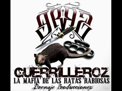 Bangbang - Gamberroz