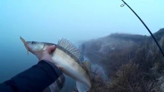 Ловля на отводной поводок с берега поздней осенью
