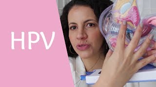 Tire suas dúvidas sobre HPV