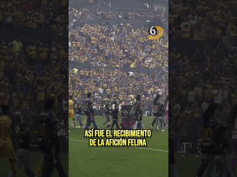 "Espectacular recibimiento para la final de la Liga Mx Femenil" Barra: Libres y Lokos &bull; Club: Tigres