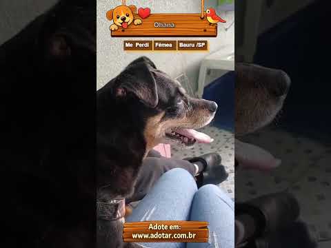 Vídeo de Ohana