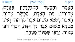 מסכת חולין פרק ט משנה ח