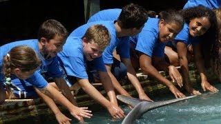 Five Things Summer Camps Won&#39;t Tell You