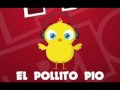 EL POLLITO PIO MUY BUENO 