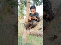 Mumtaz Hot Video Comedy