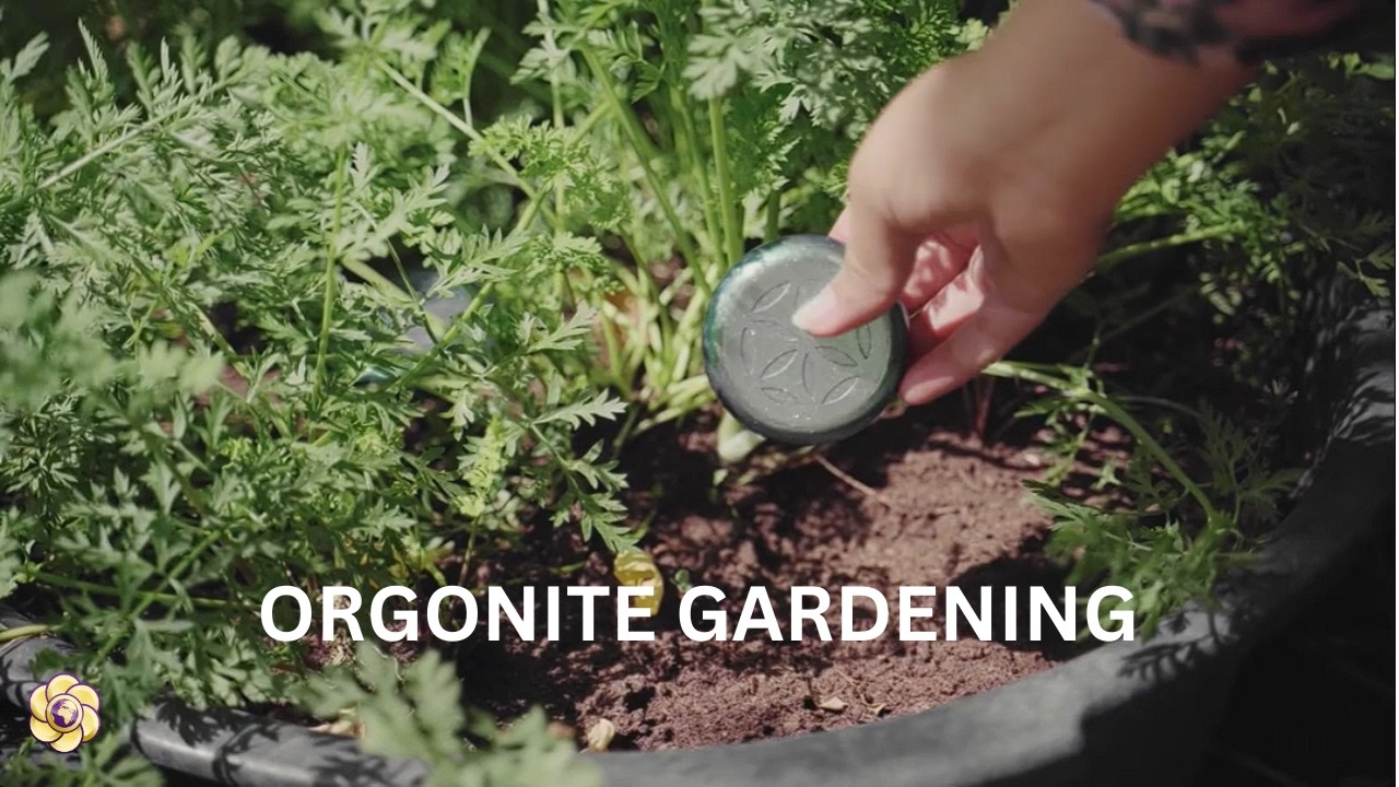 Orgonite for plants Gardening Tools EMF Protection