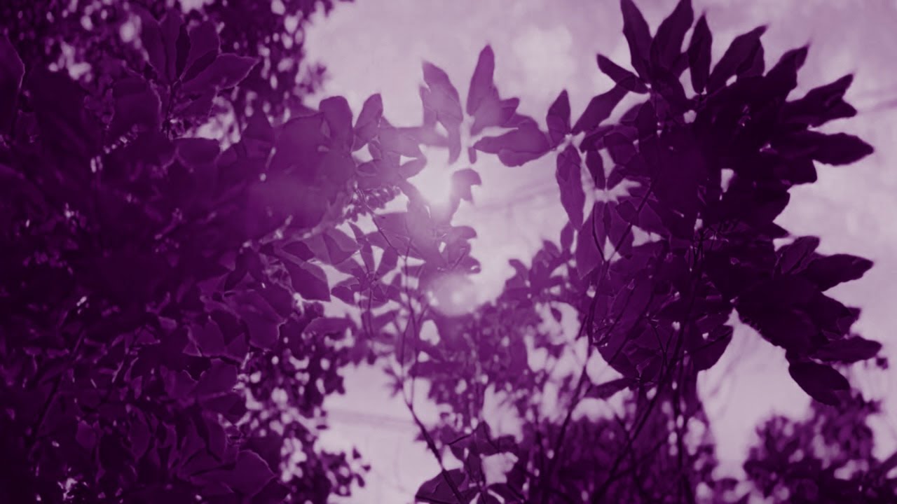 まだ生きていたい リリース記念配信 +ボカコレ振り返り