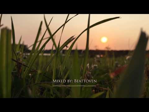 Sunshine State of Mind - Summer Drum & Bass Mix