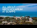 Birch Aquarium At Scripps Institution Of Oceanography La Jolla