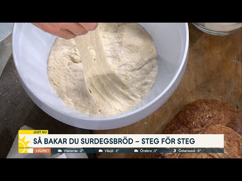 Baka det perfekta surdegsbrödet – steg för steg - Nyhetsmorgon (TV4)