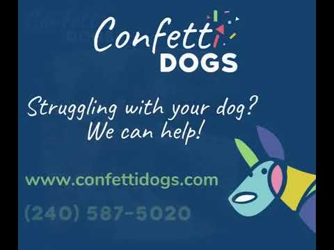 Confetti Dogs video.