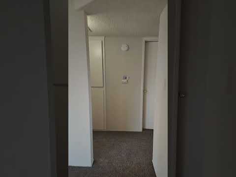 Micheli Ct. -3609 RB - Video 2 of 2