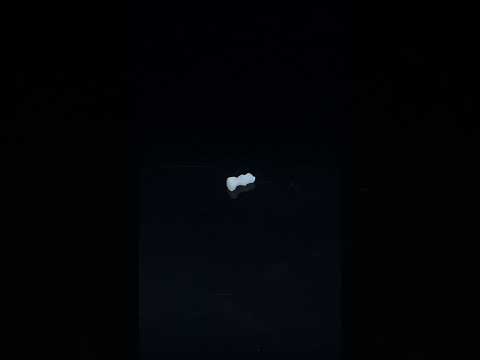 YouTube 썸네일