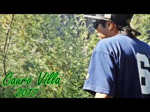 Mi Conclusion- cauro villa 2017