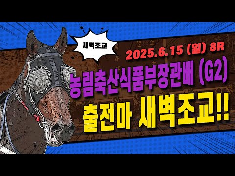 [서울 경마] 2025 농림축산식품부장관배 (G2) 대상경주 출전마 새벽조교