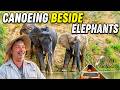 LET S TAKE A CANOE RIDE NEXT TO THE ELEPHANTS