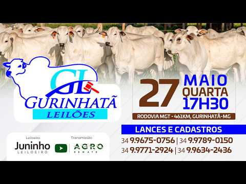 LEILÃO DE CORTE - GURINHATÃ LEILÕES 27/05/2026 - AGROREMATE