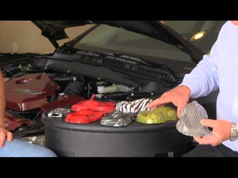 Liquid Carbon Shop Hydographic Printing