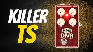 Video thumbnail for An improved Tube Screamer? T-REX Diva Drive with VOX AC15c1 by The Tone Lounge