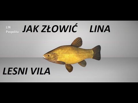 Fishing Planet - Lin - Wooden Villa