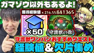 【守護獣】全11クエ。経験値を荒稼ぎしながらワンパン周回がしやすい超絶クエストを紹介。《ラブライブ！》経験値×50アイテムで快適に稼ぐ【モンスト】