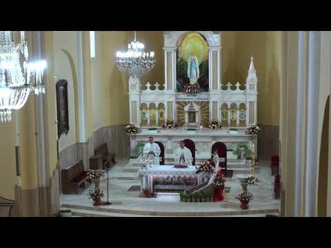 Sf. Liturghie de la ora 11.00 din 19 aprilie 2020 în Parohia Hălăucești