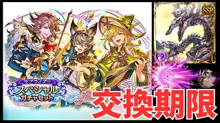 【グラブル】サプチケ期限なのだ？？？？？