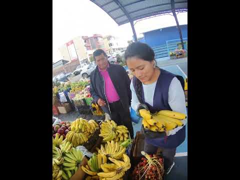 DESDE EL CANTÓN DELEG PROVINCIA DEL CAÑAR ECUADOR MERCADO FERIA DOMINGO DE COMPRA 🛍️