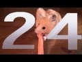 Learning Numbers 1 2 3 4 5 6 In English With Emma The Hamster 1 Minute Voice