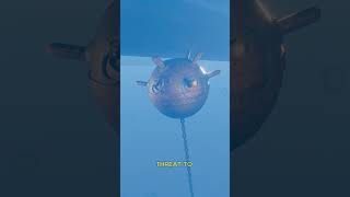 How Germans Dealt with Underwater Mines 😳