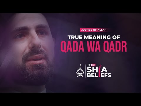 If everything is based on Qada wa Qadr, do we have Free Will? | ep 28 | The Real Shia Beliefs