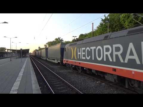 Züge in Verden - Hectorrail 241.010 mit KLV (Samskip, GWG, Ewals Cargo etc.)