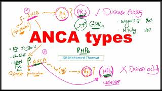 Basic Science MRCP  - 05 -  Immunology (ANCA types)